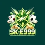 SK-EP999 Game